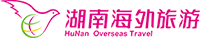 分銷系統客戶案例